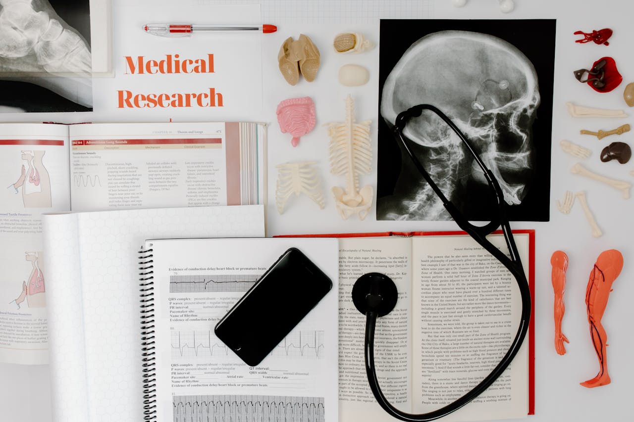 heros-img Flat lay of medical research materials with a stethoscope and anatomical models.
